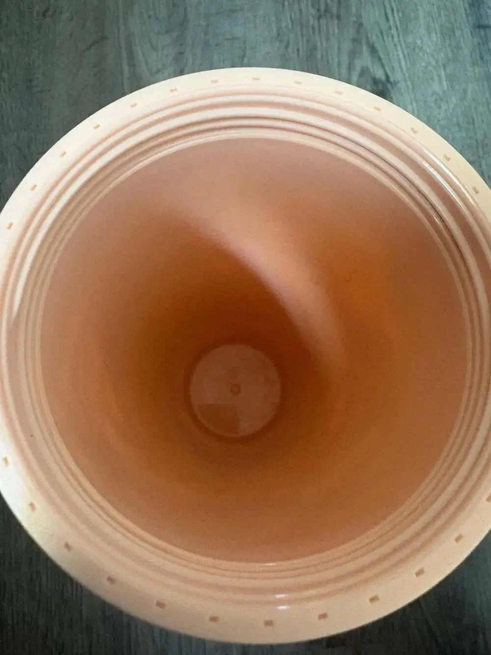 2019 Starbucks Terracotta Desert Cactus Summer Venti Tumbler 24oz